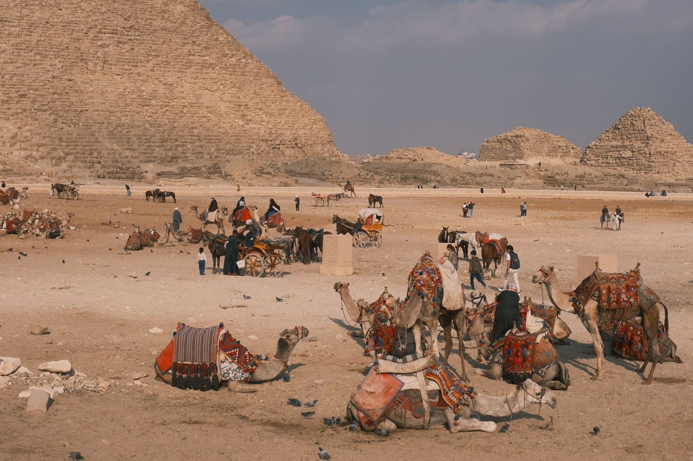 Area designata per i fornitori di cammelli e carrozze ai margini dell'altopiano di Giza