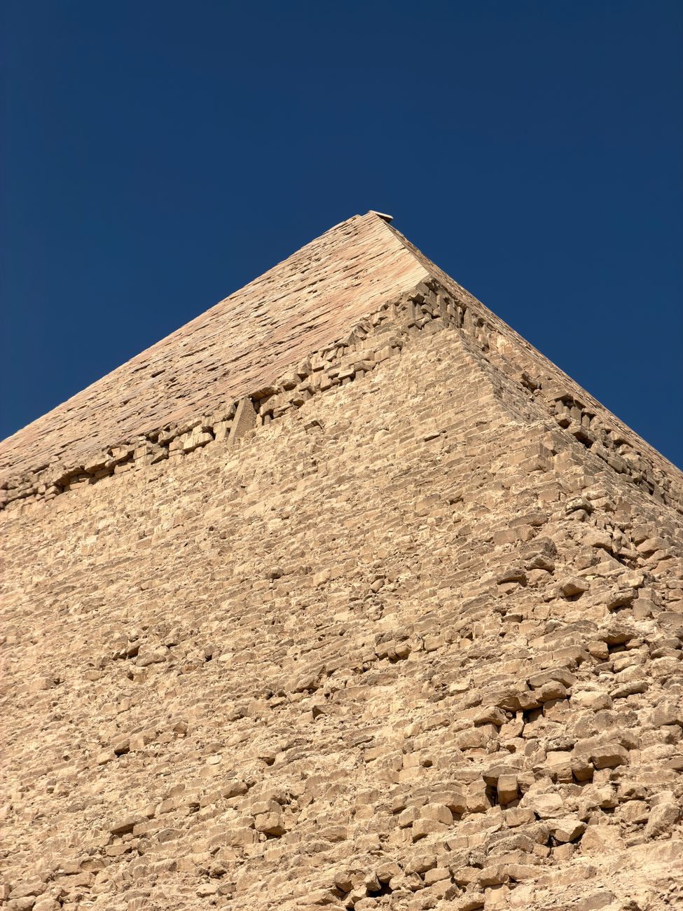 Close-up da superfície de calcário com fósseis em forma de moeda