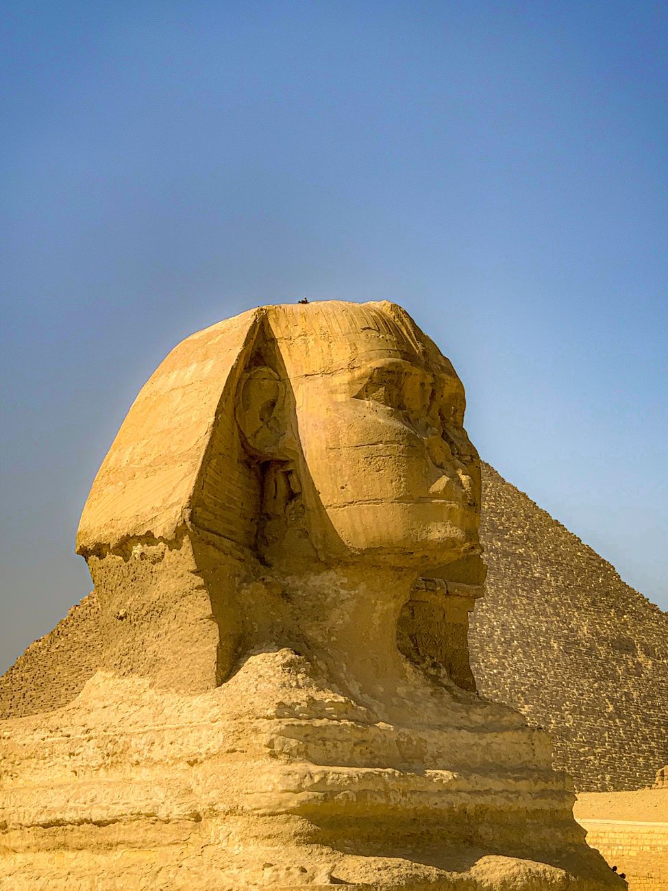 Bühne mit Scheinwerfern vor dem Sphinx bei Nacht, Publikum im Vordergrund