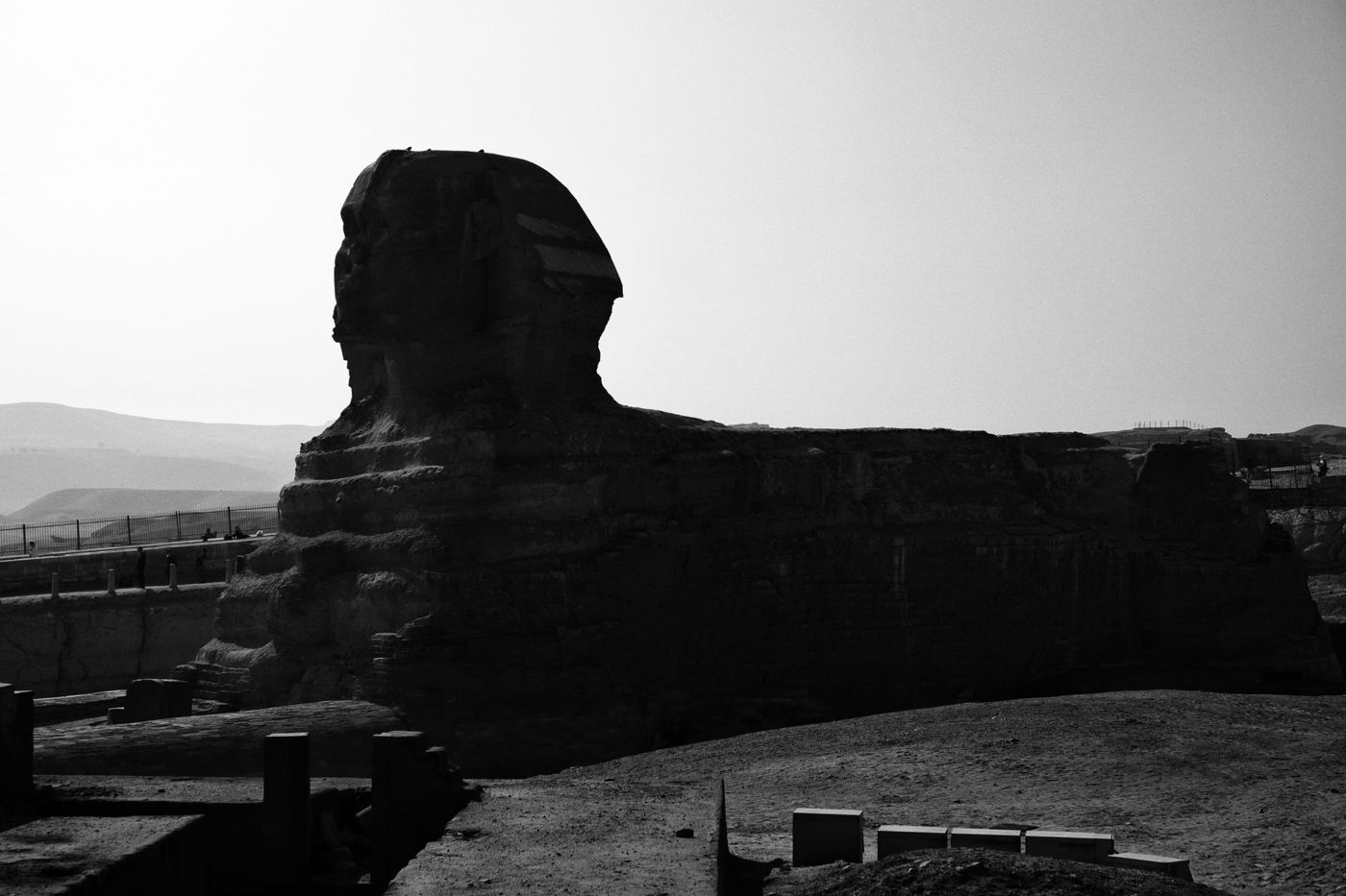 Dessin vectoriel plat et bicolore des trois pyramides avec le sphinx devant